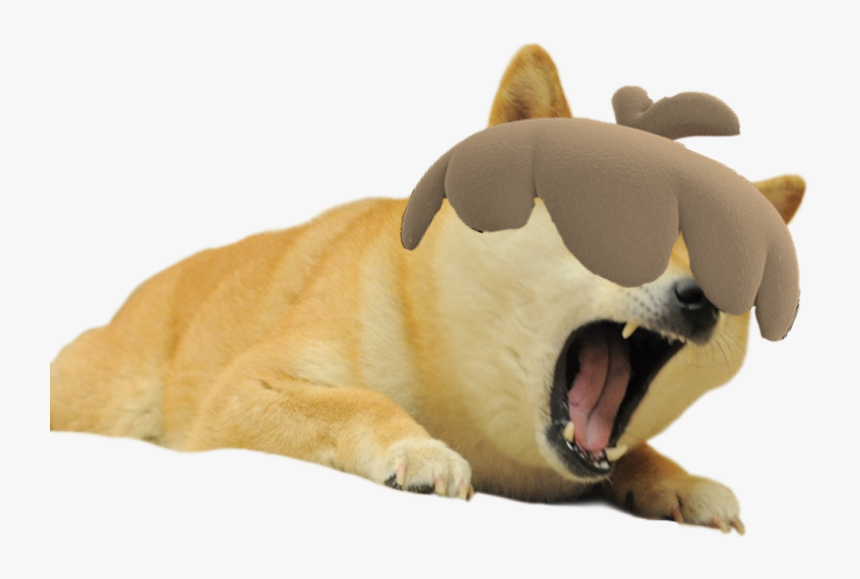 Doge Super Sayayin, HD Png Download