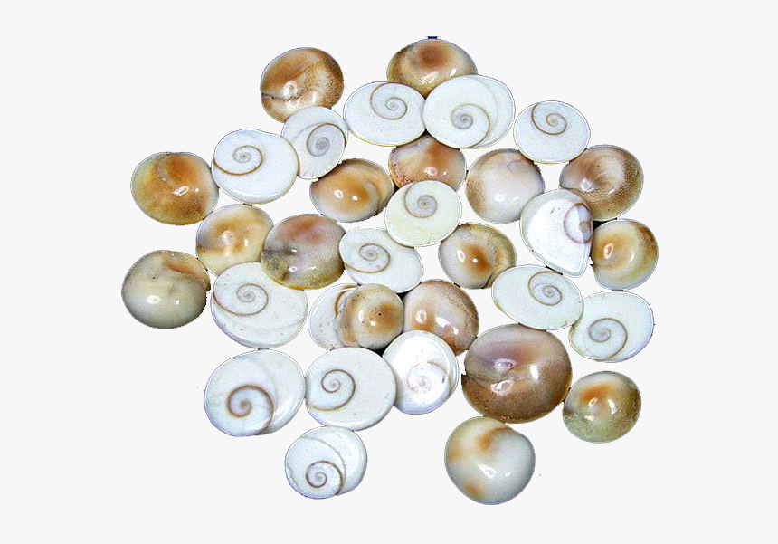 Gomti Chakra Image In Png, Transparent Png