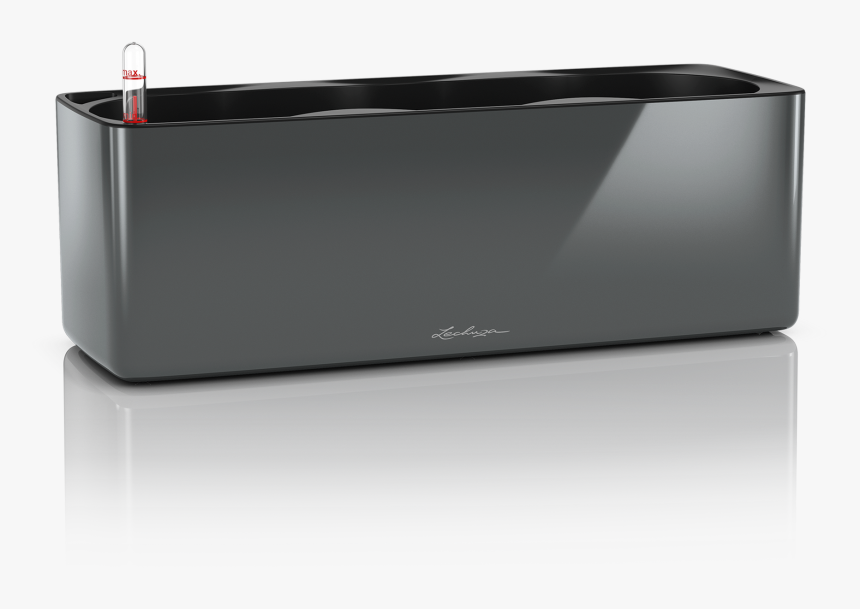 Lechuza, HD Png Download