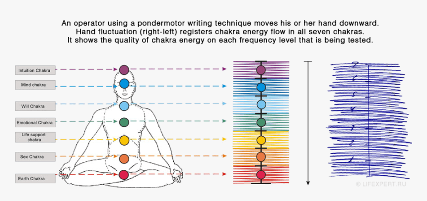 Seven Chakra Test - 7 Levels Of Chakra, HD Png Download