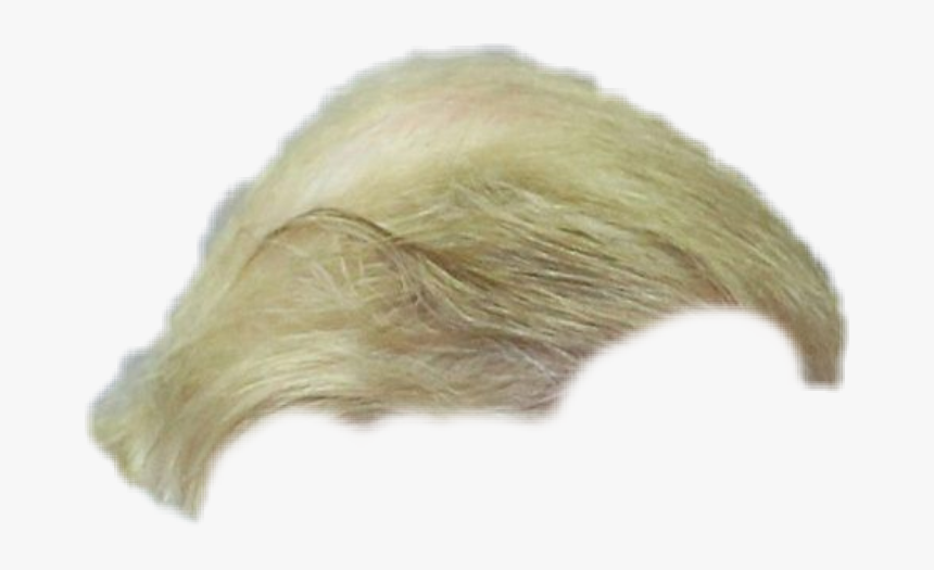 Blond, HD Png Download
