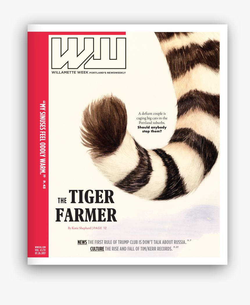 Striped Skunk, HD Png Download