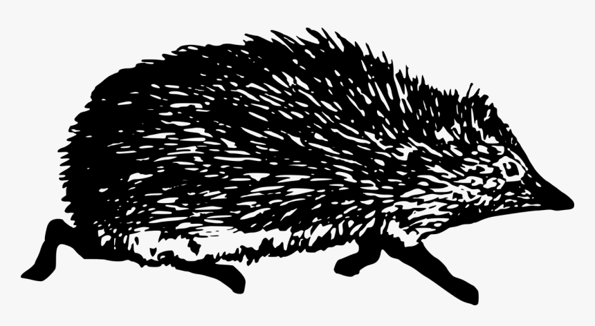 Vintage Hedgehog Book, HD Png Download