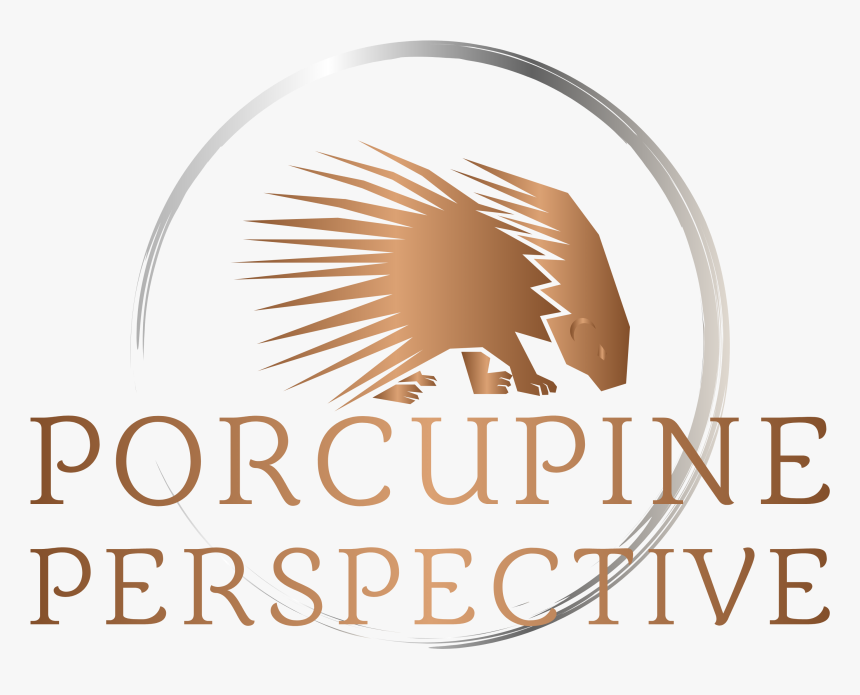 Porcupine Perspective Porcupine Perspective - Poster, HD Png Download