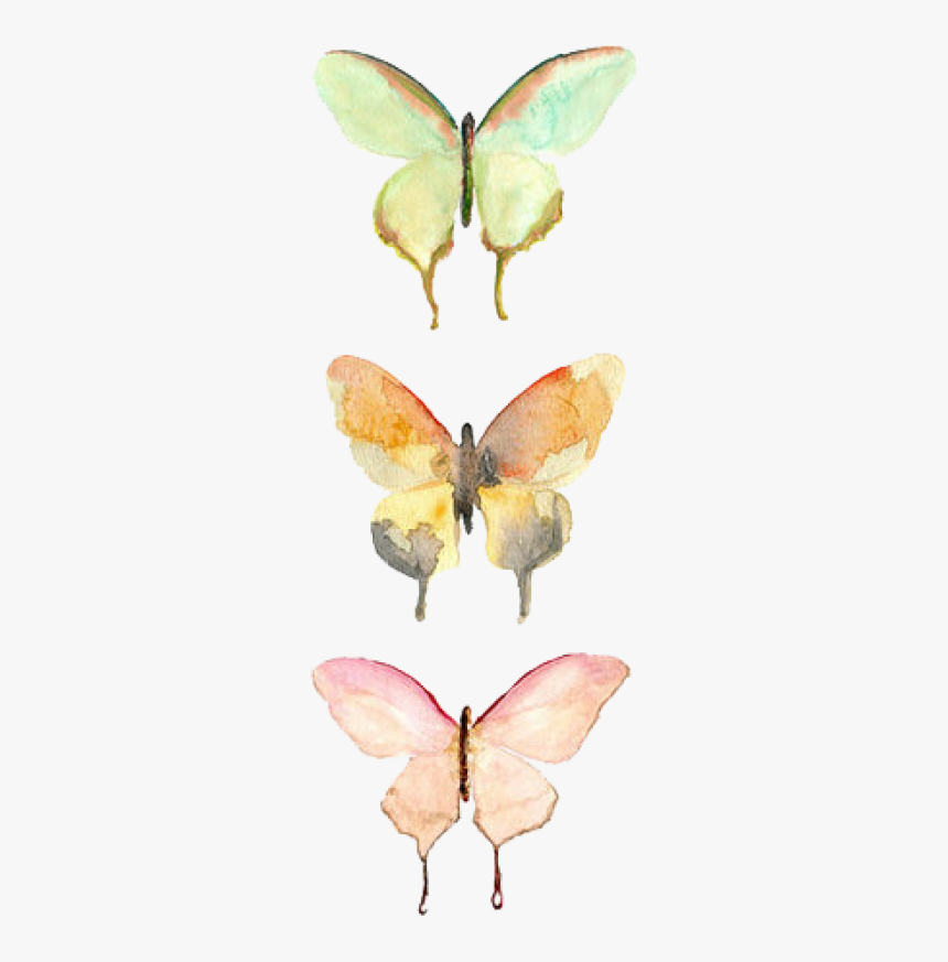 Watercolor Butterfly, HD Png Download