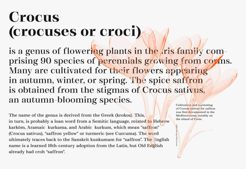 Document, HD Png Download