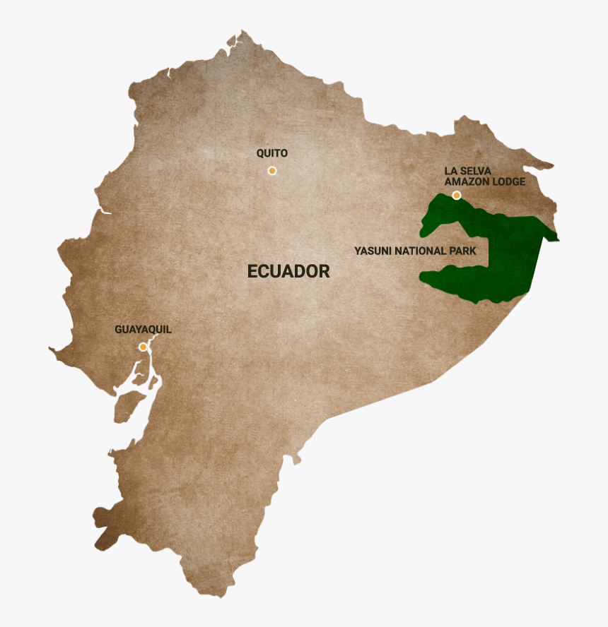 Ecuador Map Vector, HD Png Download
