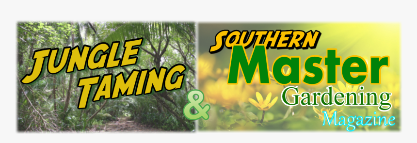 Logo - Graphic Design, HD Png Download