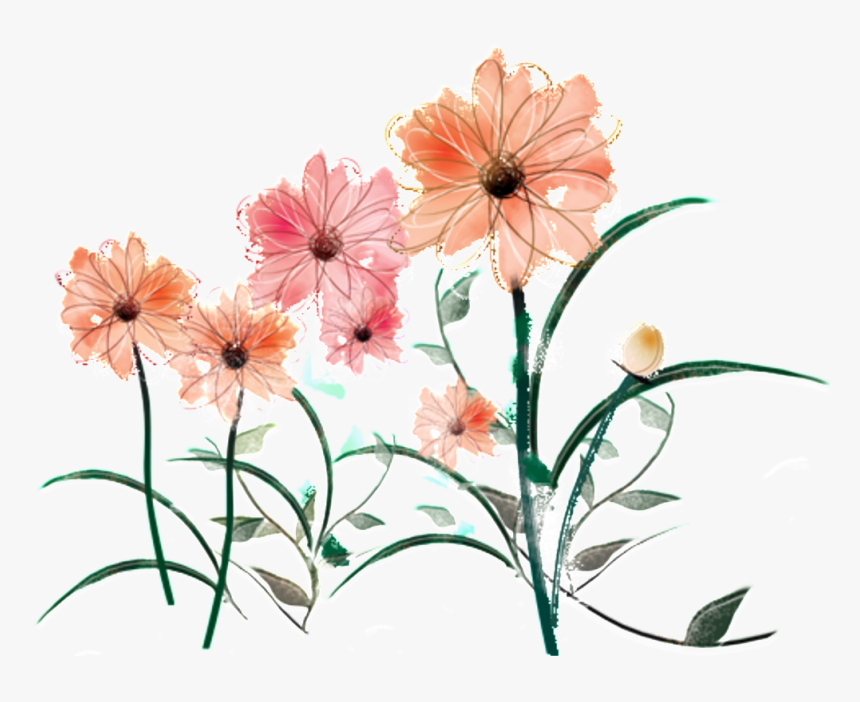Fresh Water Pink Hand Painted Chrysanthemum Decorative - Illustration, HD Png Download