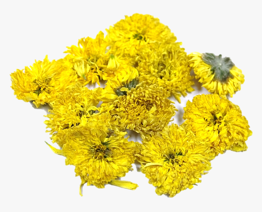 Coltsfoot, HD Png Download