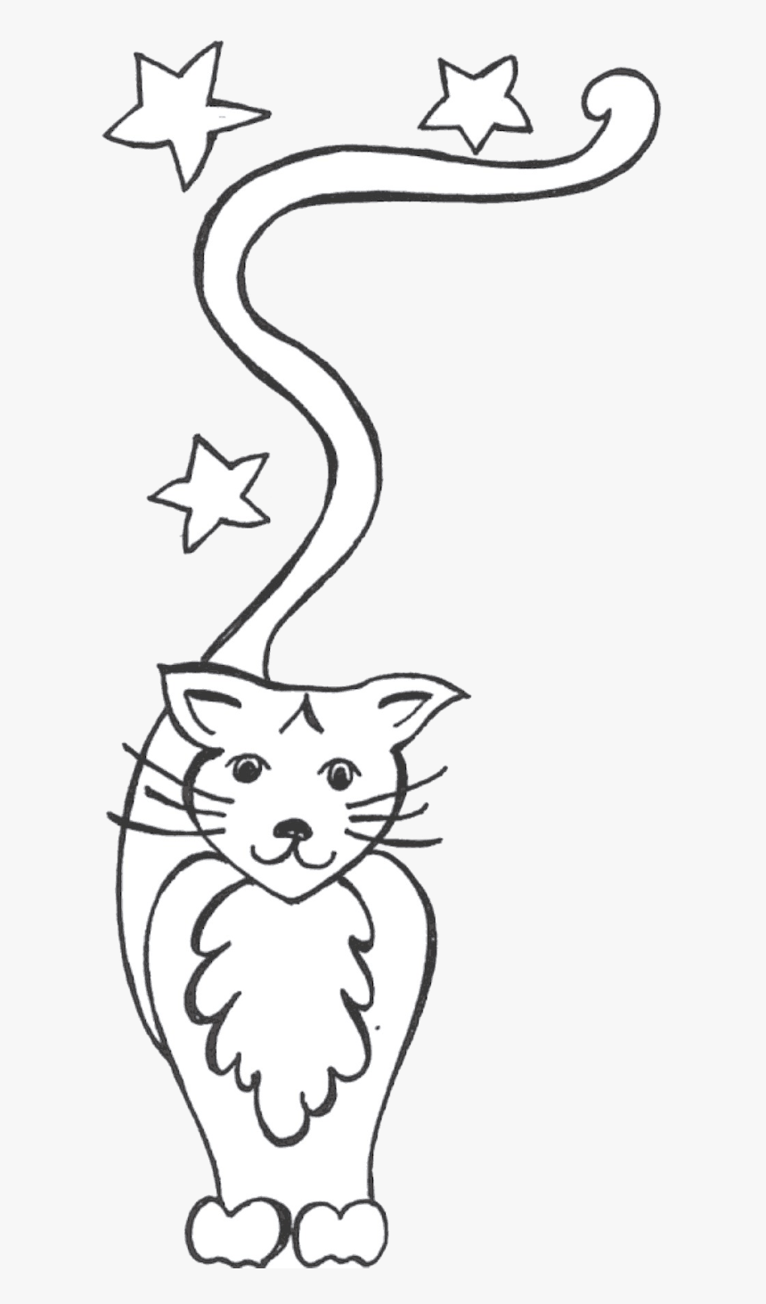 Cats Whiskers Day Nursery - White Stars In Black Sky, HD Png Download