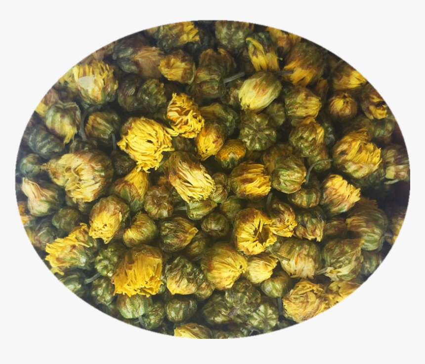 Persian Buttercup, HD Png Download