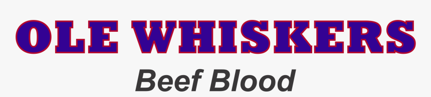 Colorfulness, HD Png Download