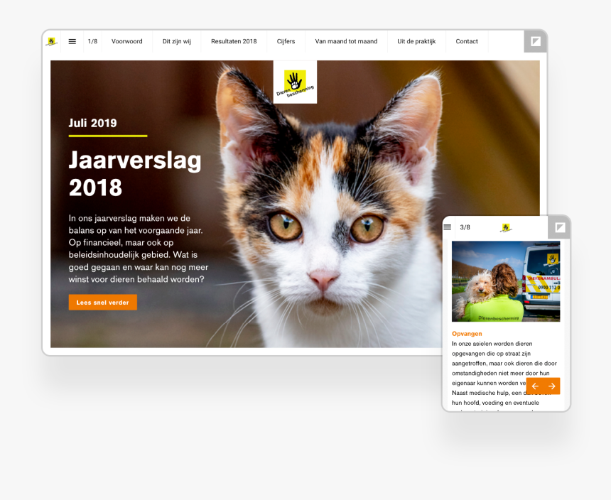 Kitten, HD Png Download