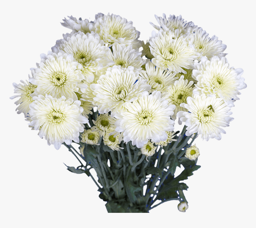Chrysanthemum Cushion, HD Png Download