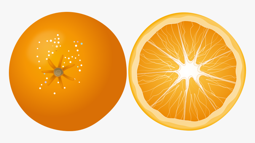 Orange Png Image, Free Download - Orange Slice Png Free, Transparent Png