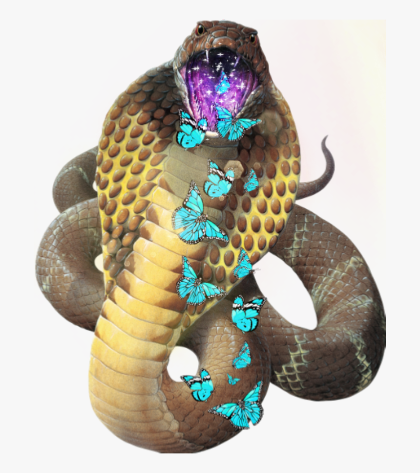 🐍desafio🐍
@picsart 
@bellaprincessbr - Cobra Green Snake Png, Transparent Png