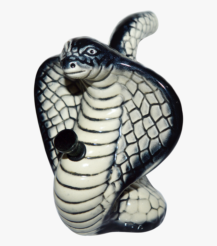 Kemp's Ridley Sea Turtle, HD Png Download