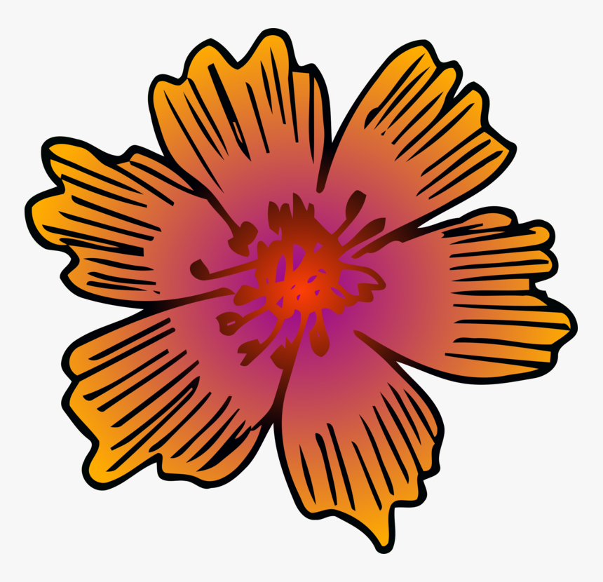 Chrysanths,plant,flower - Barberton Daisy, HD Png Download