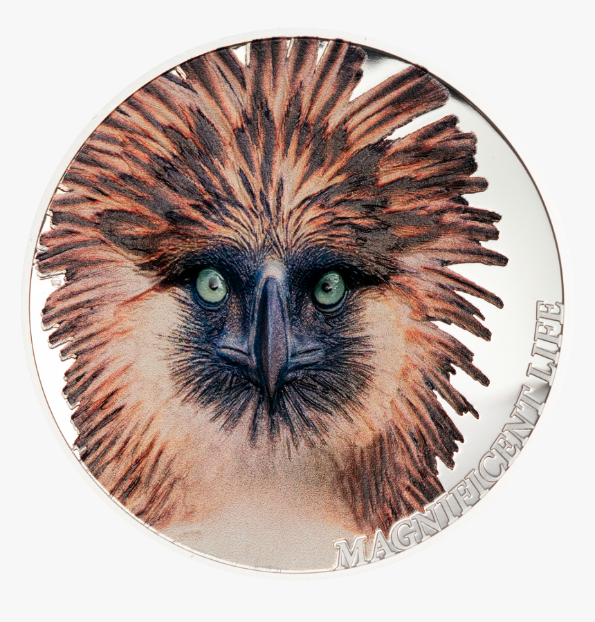 Philippine Eagle Magnificent Life 1 Oz Silver Coin, HD Png Download