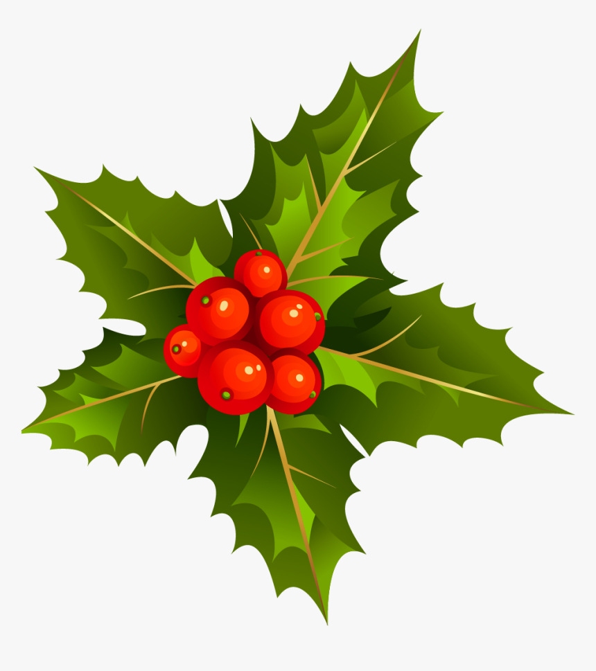 Mistletoe Clip Art - Mistletoe Clipart Transparent, HD Png Download