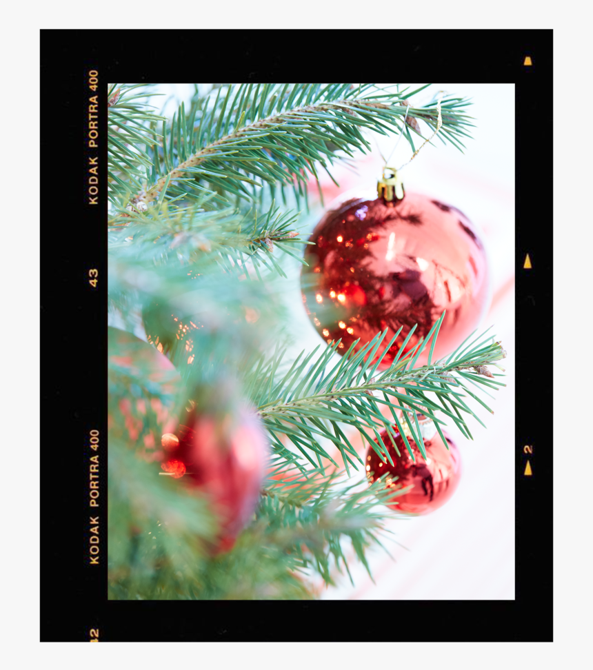 Solo Image - Christmas Ornament, HD Png Download