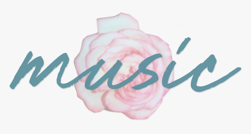 Kz Music Header - Frozen Yogurt, HD Png Download