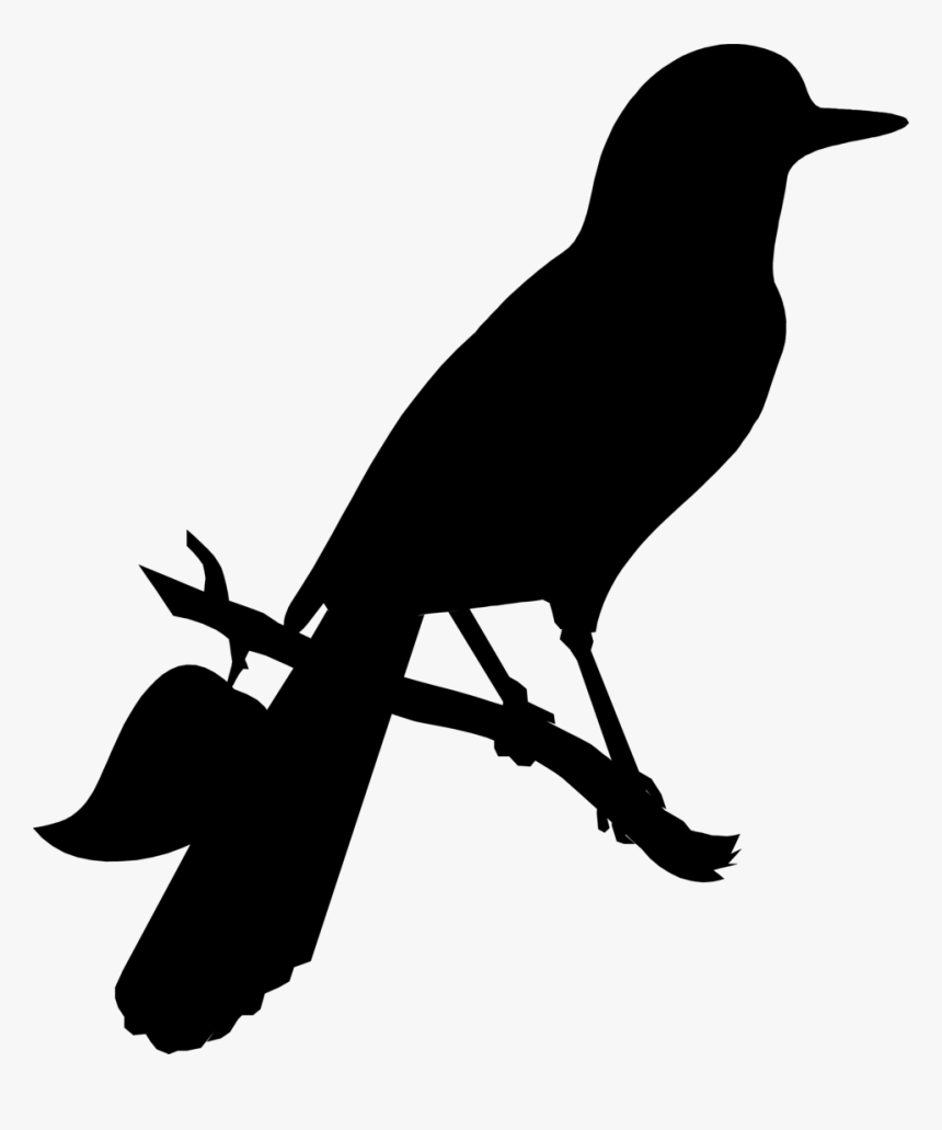American Crow Clip Art Advertising Fauna Silhouette - Raven, HD Png Download
