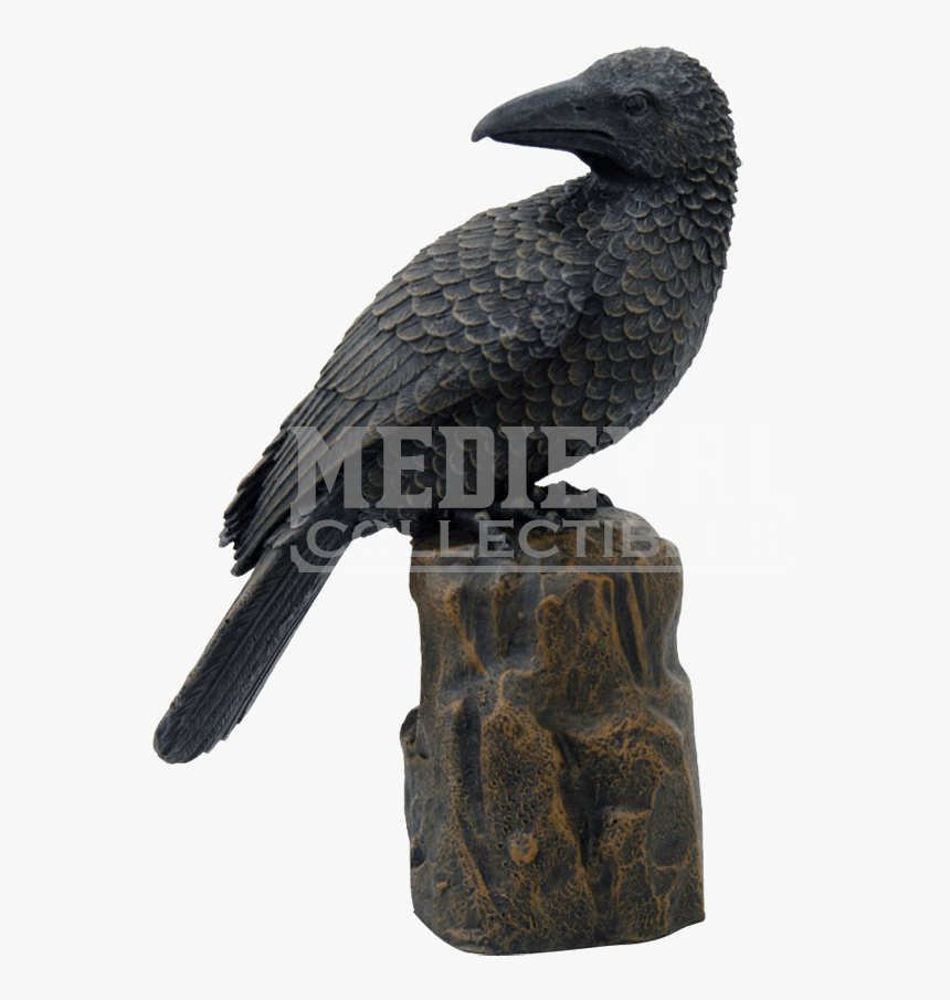 Raven Silhouette Perched - American Crow, HD Png Download