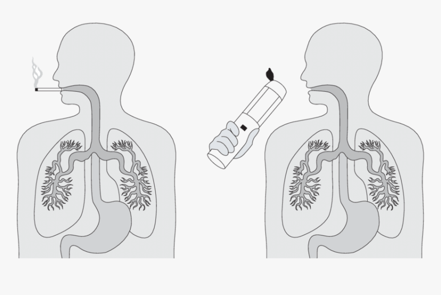 Illustration, HD Png Download