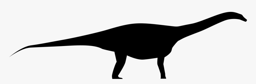 Silhouette, HD Png Download