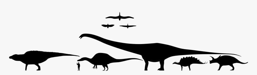 Dinosaur Silhouette Scale, HD Png Download