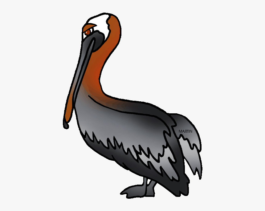 United States Clip Art By Phillip Martin, Louisiana - Louisiana State Brown Pelican, HD Png Download