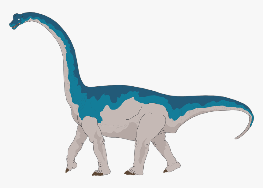 Brachiosaurus Clipart, HD Png Download