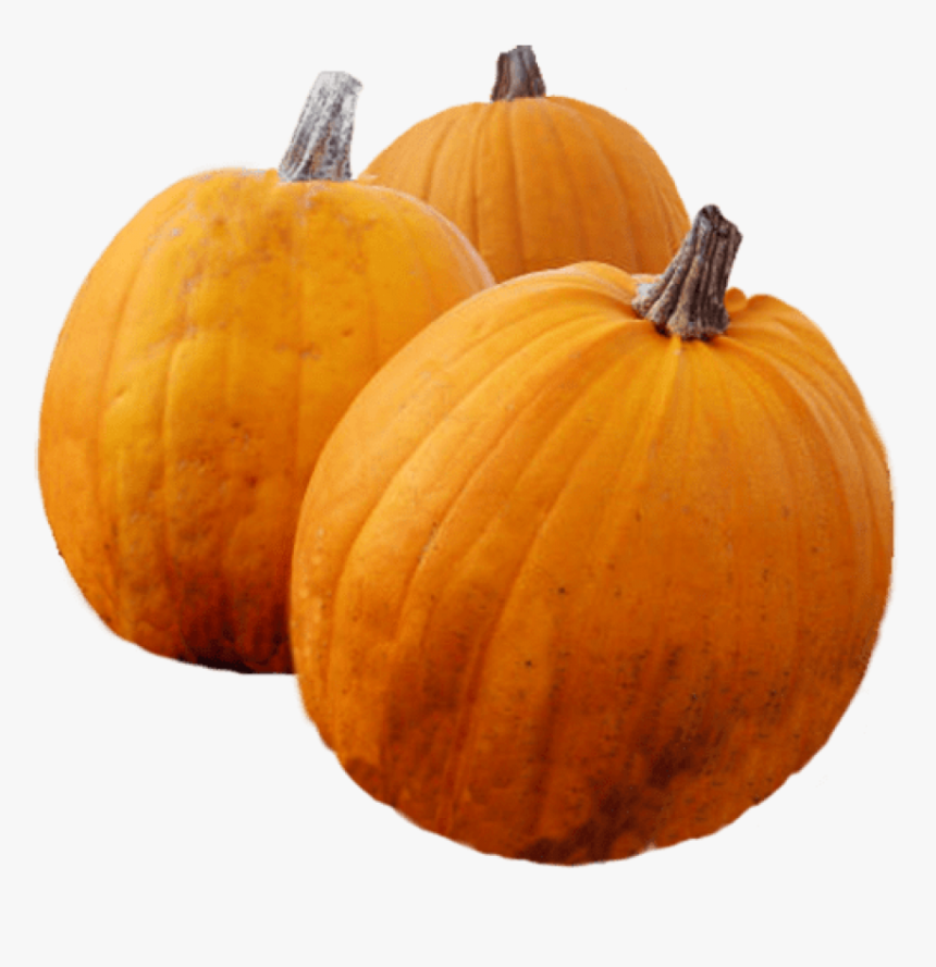 Thanksgiving Pumpkin Png , Png Download - Pumpkin, Transparent Png