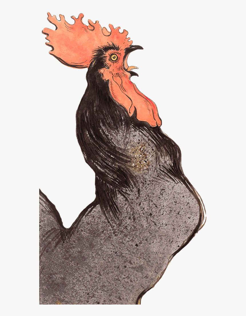 Elephants Delicatessen Chalkboard Drawing Of Crowing - Illustration, HD Png Download