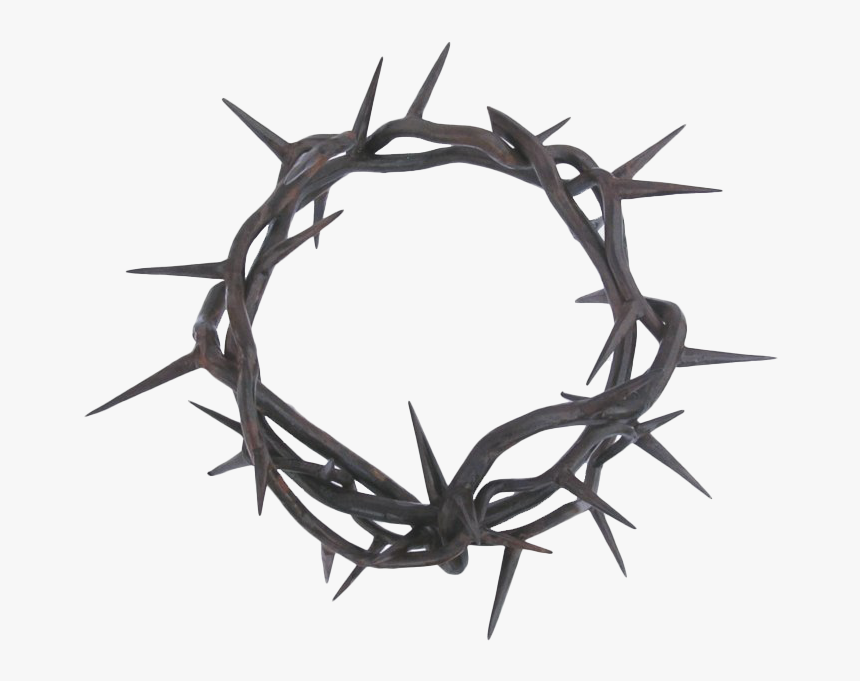 Thorns Png Photos - Crown Of Thorns Png, Transparent Png