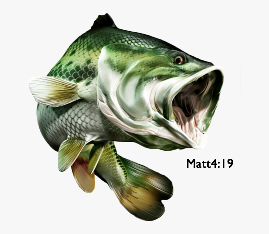Big Mouth Bass, HD Png Download