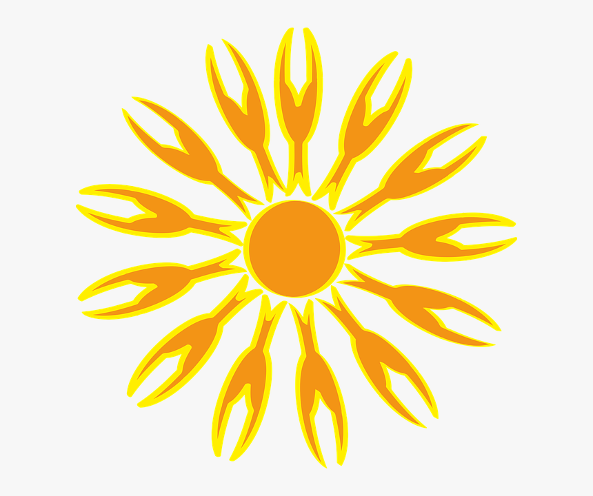Sunflower, HD Png Download