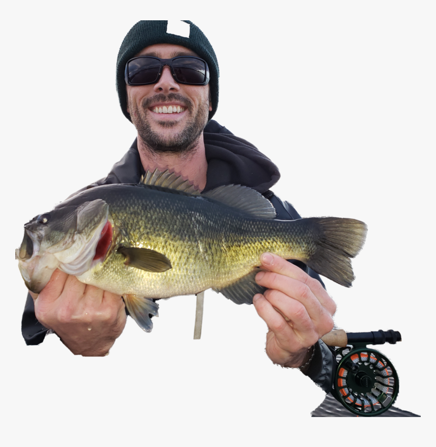 Largemouth Bass Png, Transparent Png