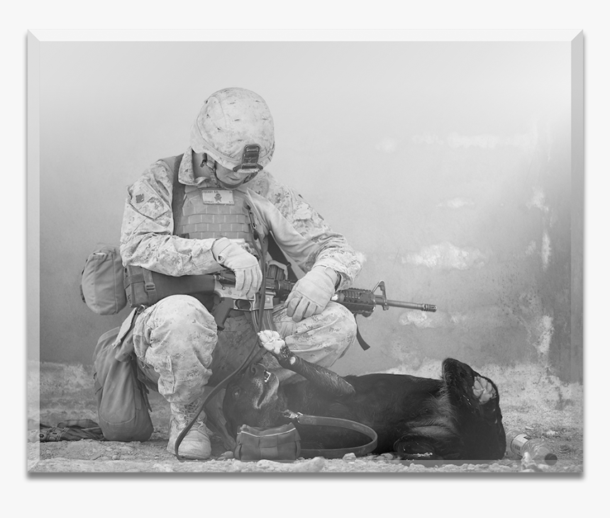 Courage Soldier, HD Png Download