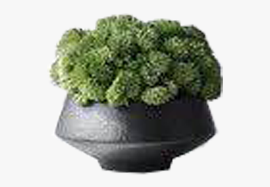 Small Plants Vase Png, Transparent Png