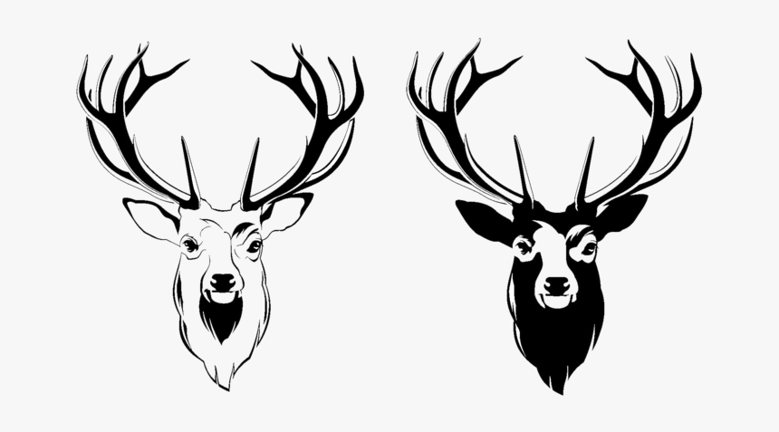 Deer Head Png Picture - Deer Head Png, Transparent Png