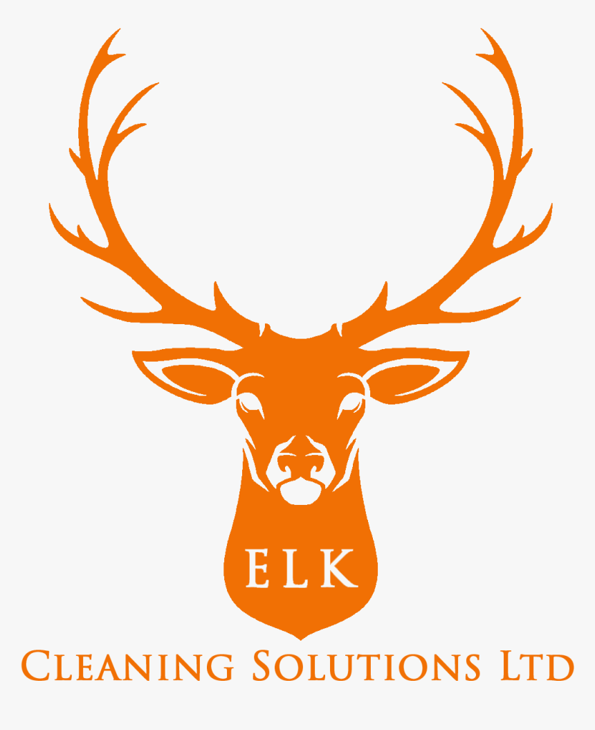 Deer Head Illustration Free , Png Download - 94.3 The Buck, Transparent Png