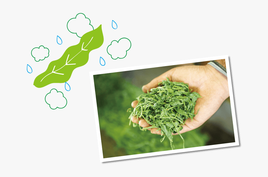 Illustration, HD Png Download