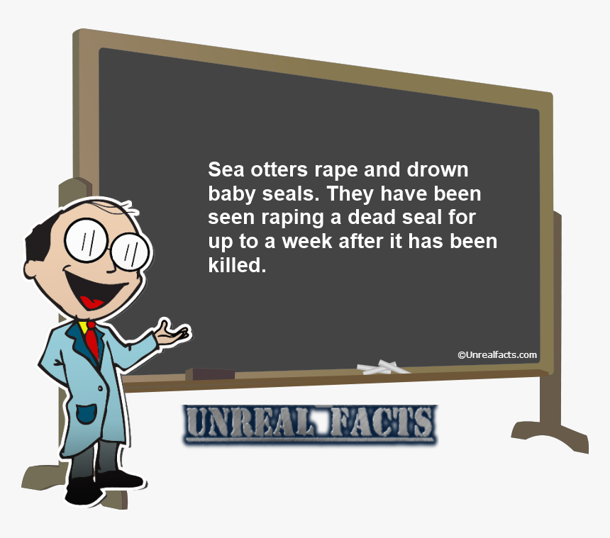 Sea Otter Rape Baby Seal - Long Do Koalas Sleep, HD Png Download