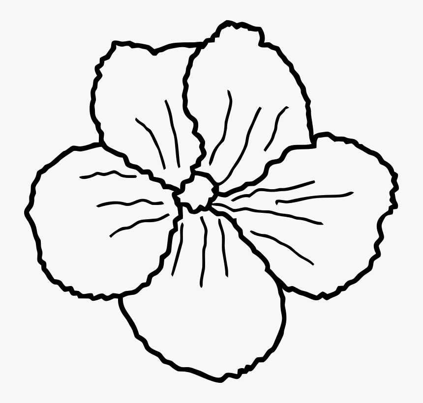 Flower Line Art - Portable Network Graphics, HD Png Download