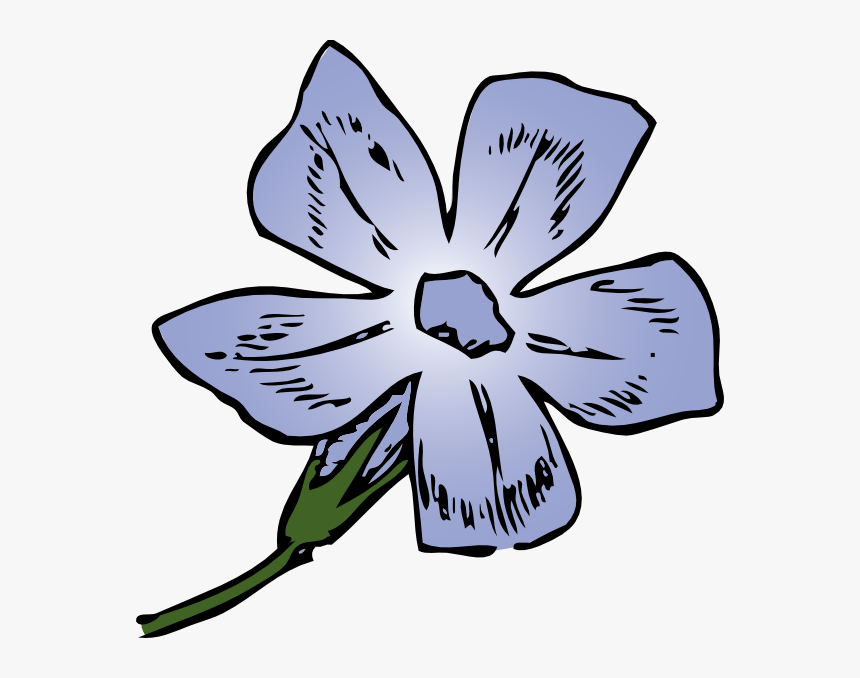 Outline Of Periwinkle Flower, HD Png Download