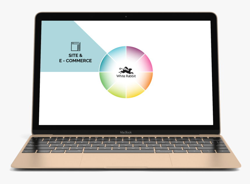 White Rabbit Png, Transparent Png