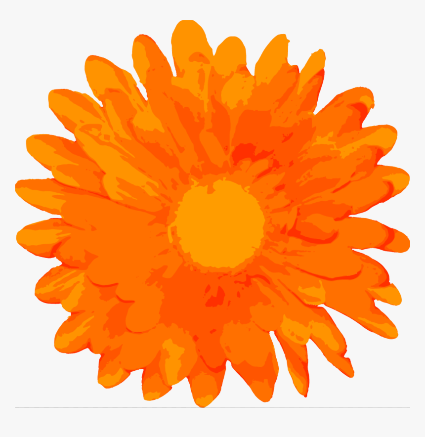 Free Flower, HD Png Download